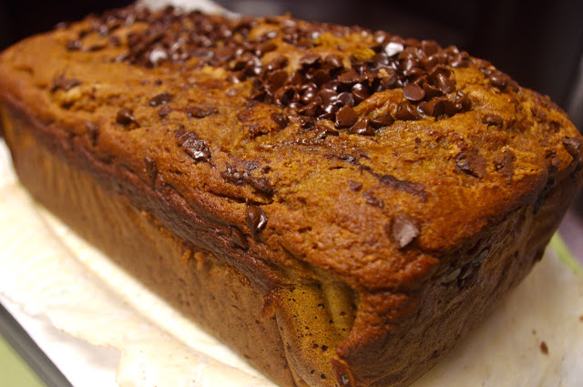 Biscoff Pumpkin Bread - pumpkin bread swirled with Bisxoff cookie butter and mini chocolate chips | www.thebatterthickens.com