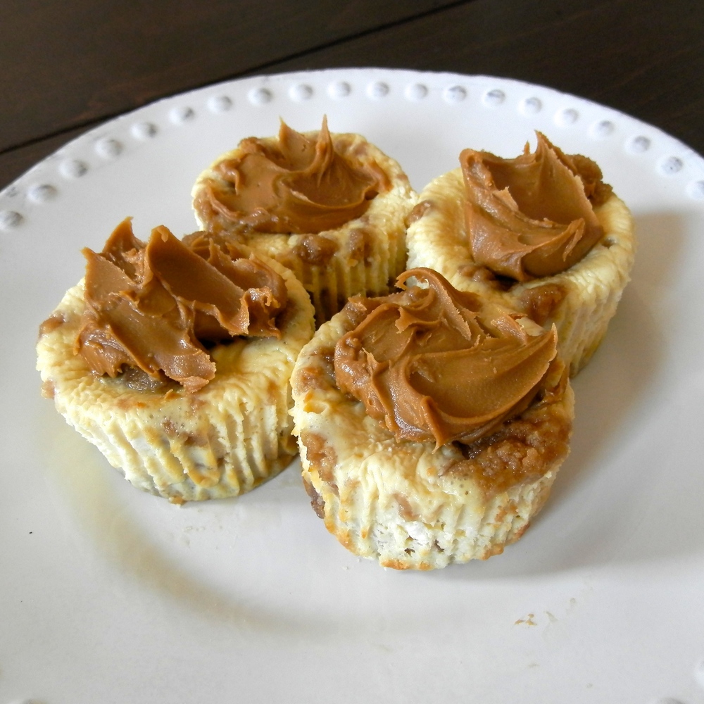 Biscoff Cookie Cheesecake Bites - biscoff cookie cheesecake with biscoff cookie dough chunks and a biscoff cookie crust #biscoff #cheesecake | www.thebatterthickens.com