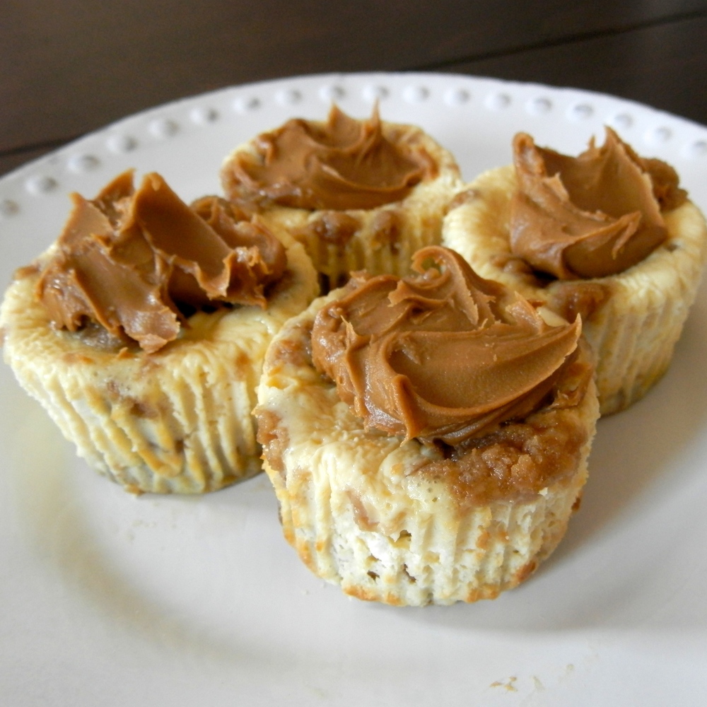 Biscoff Cookie Cheesecake Bites - biscoff cookie cheesecake with biscoff cookie dough chunks and a biscoff cookie crust #biscoff #cheesecake | www.thebatterthickens.com