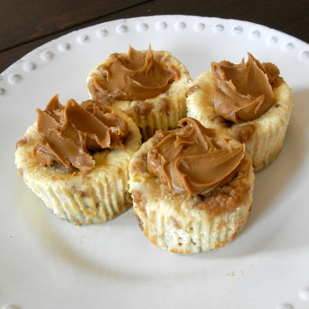 Biscoff Cookie Cheesecake Bites - biscoff cookie cheesecake with biscoff cookie dough chunks and a biscoff cookie crust #biscoff #cheesecake | www.thebatterthickens.com