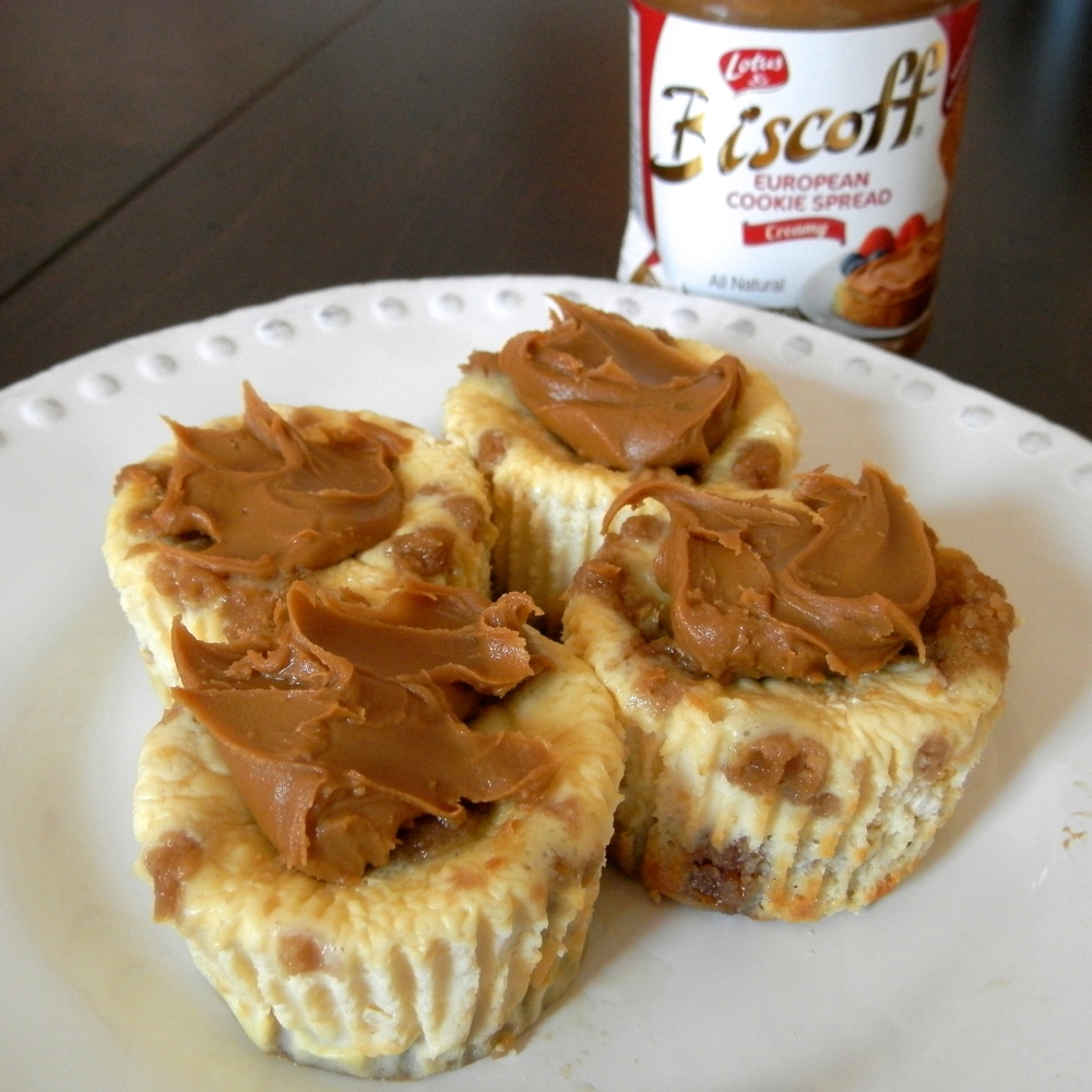 Biscoff Cookie Cheesecake Bites - biscoff cookie cheesecake with biscoff cookie dough chunks and a biscoff cookie crust #biscoff #cheesecake | www.thebatterthickens.com