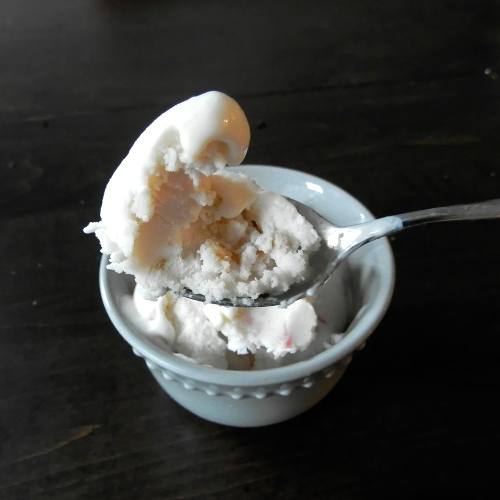 Rhubarb Frozen Yogurt - tangy, creamy, sweet, and full of natural rhubarb flavor #rhubarb #frozenyogurt | www.thebatterthickens.com