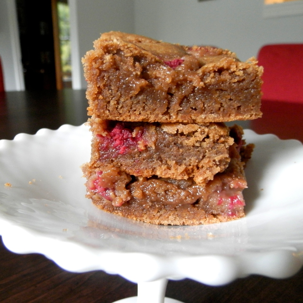 Brown Butter Nutella Raspberry Blondies