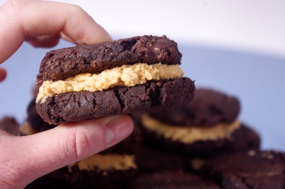 Mole chocolate cookie sandwiches