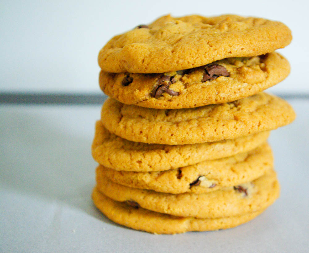 Butterscotch Pudding Cookies with chocolate chips - the pudding in these butterscotch cookies makes them extra soft and chewy! | www.thebatterthickens.com