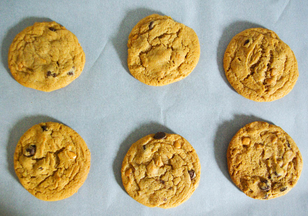 Butterscotch Pudding Cookies with chocolate chips - the pudding in these butterscotch cookies makes them extra soft and chewy! | www.thebatterthickens.com