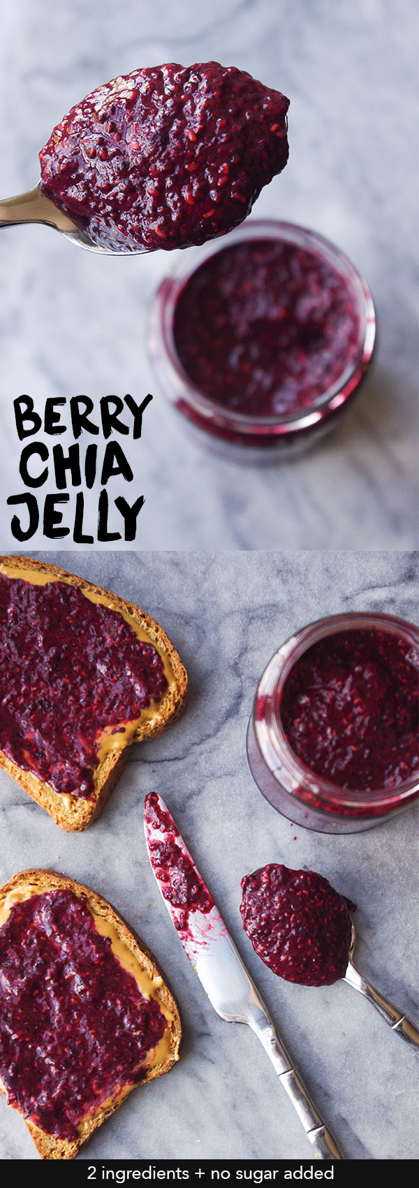 Berry Chia Jelly - No added sugar and just 2 ingredients to make healthy homemade jelly #noaddedsugar #nosugaradded #chiaseeds #chiajam | www.thebatterthickens.com